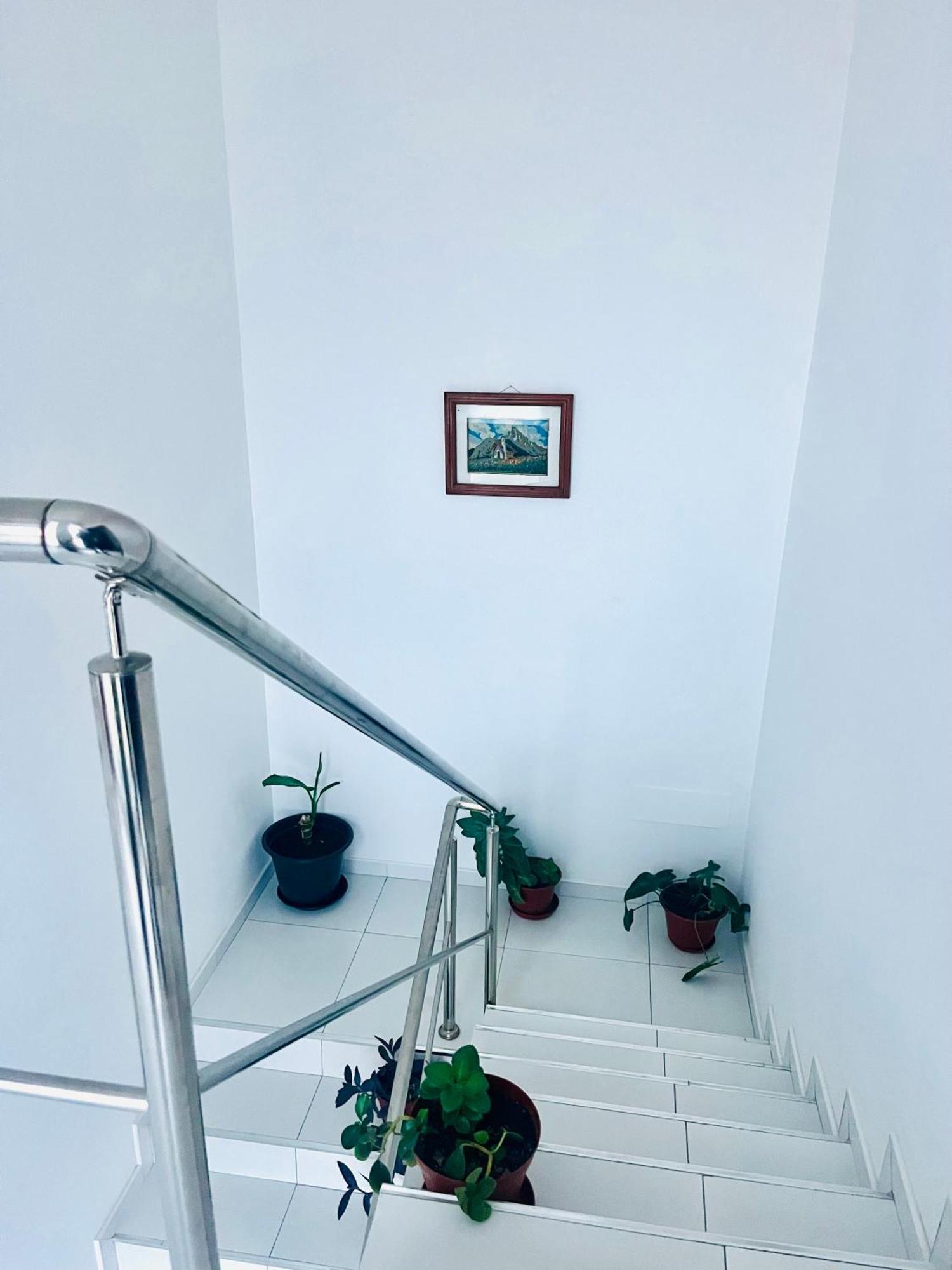 Apartament Oasis De Retour Ponta Do Sol Zewnętrze zdjęcie