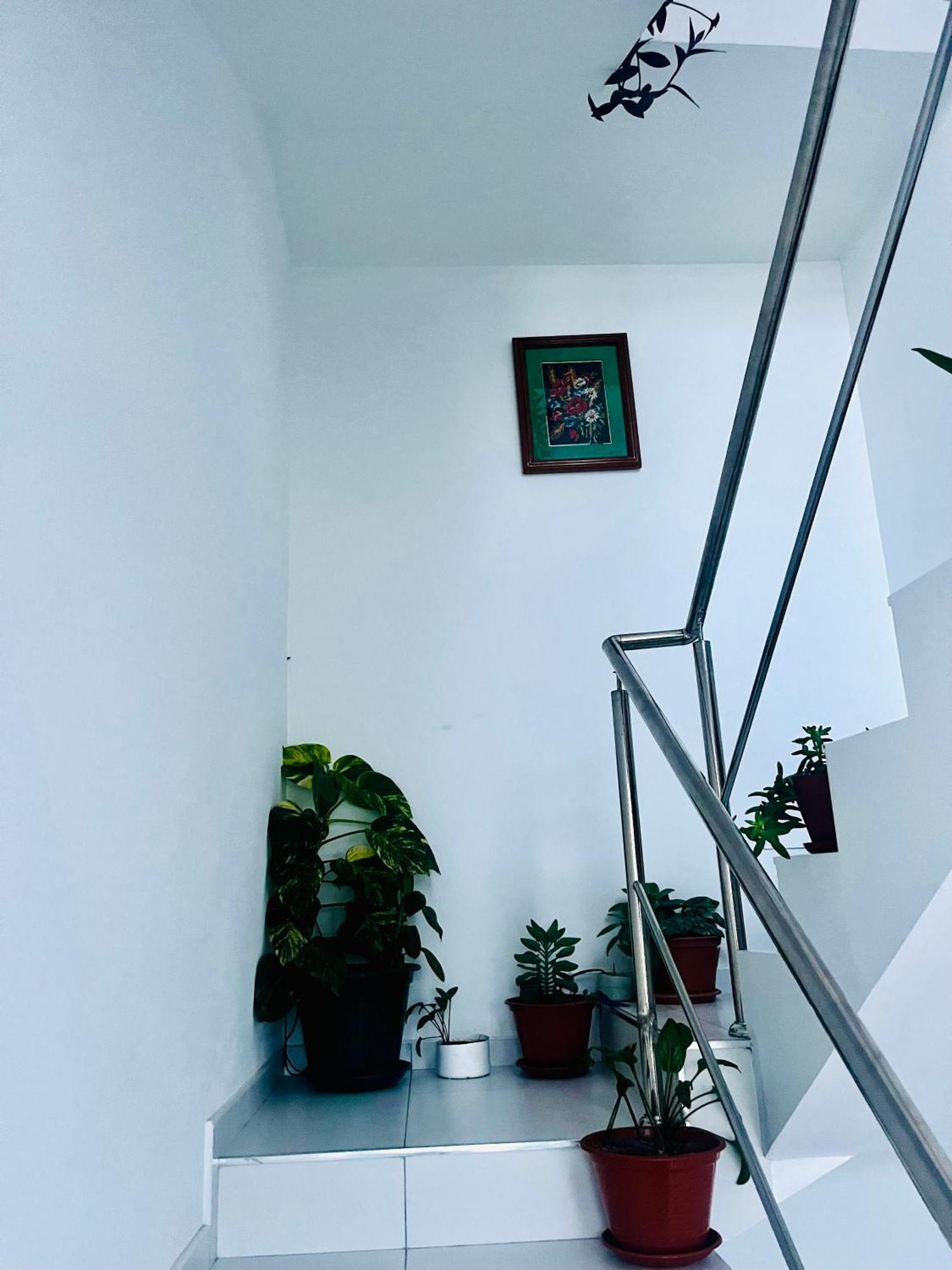 Apartament Oasis De Retour Ponta Do Sol Zewnętrze zdjęcie
