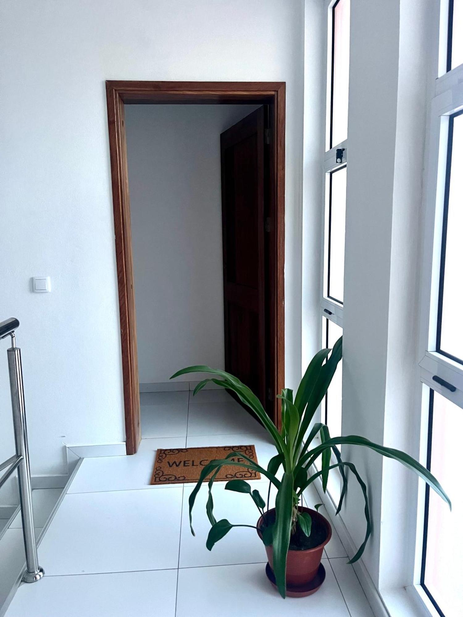 Apartament Oasis De Retour Ponta Do Sol Zewnętrze zdjęcie